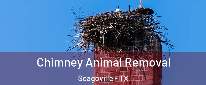  Chimney Animal Removal Seagoville - TX