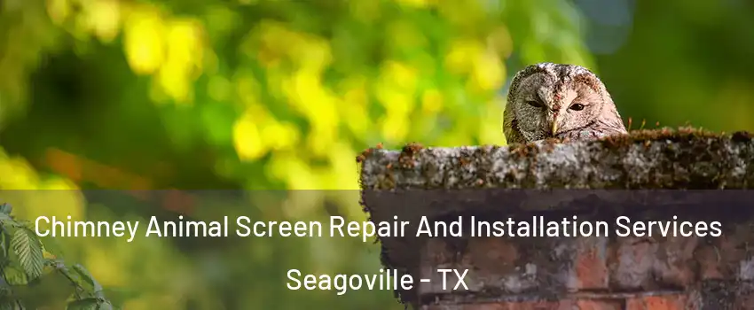  Chimney Animal Screen Repair And Installation Services Seagoville - TX