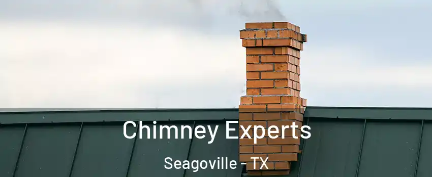  Chimney Experts Seagoville - TX
