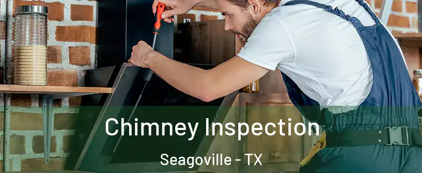  Chimney Inspection Seagoville - TX