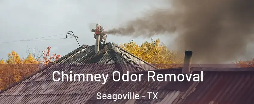  Chimney Odor Removal Seagoville - TX