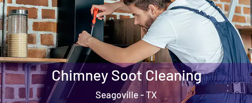  Chimney Soot Cleaning Seagoville - TX