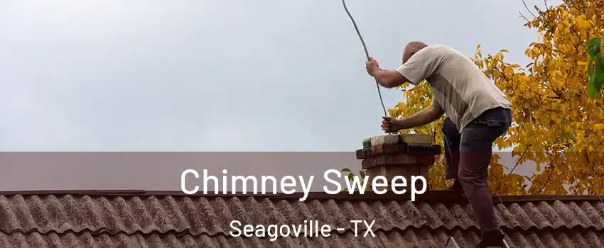  Chimney Sweep Seagoville - TX