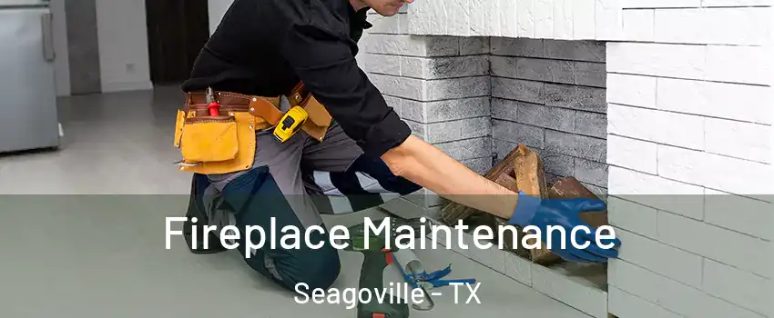  Fireplace Maintenance Seagoville - TX