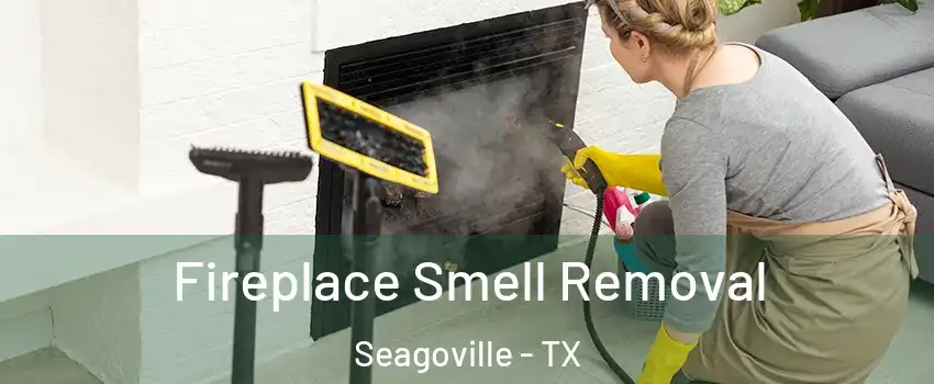  Fireplace Smell Removal Seagoville - TX