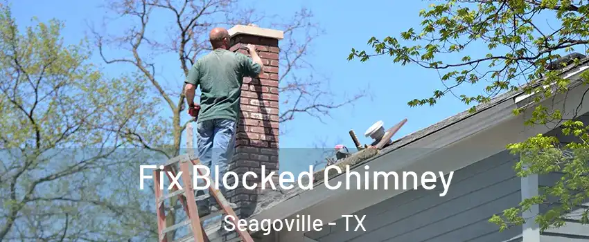  Fix Blocked Chimney Seagoville - TX