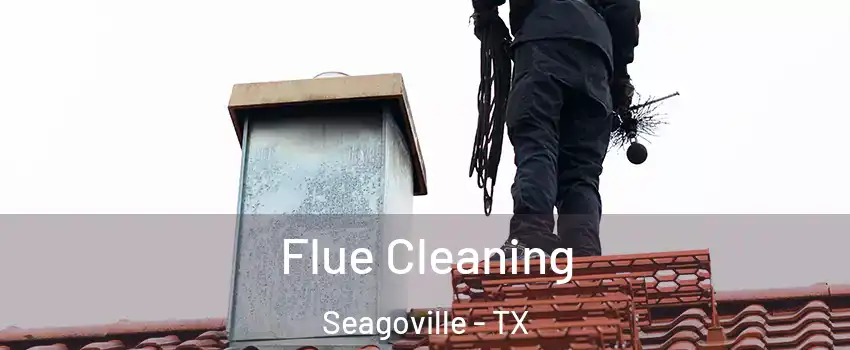  Flue Cleaning Seagoville - TX
