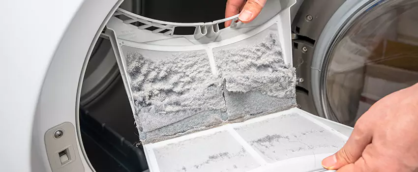 Best Dryer Lint Removal Company in Seagoville, Texas