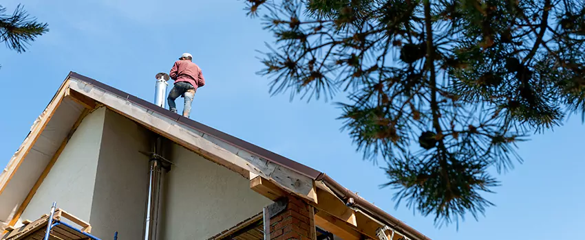 Birds Removal Contractors from Chimney in Seagoville, TX