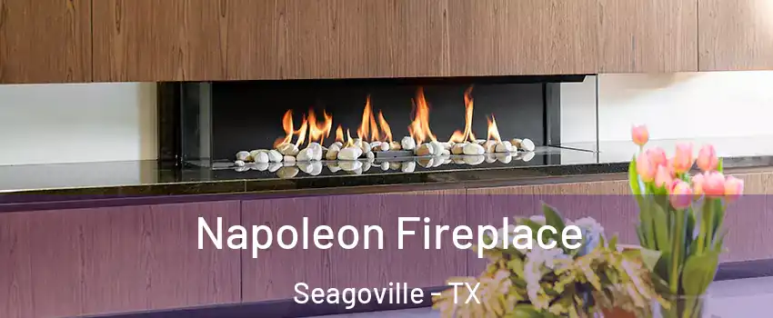  Napoleon Fireplace Seagoville - TX